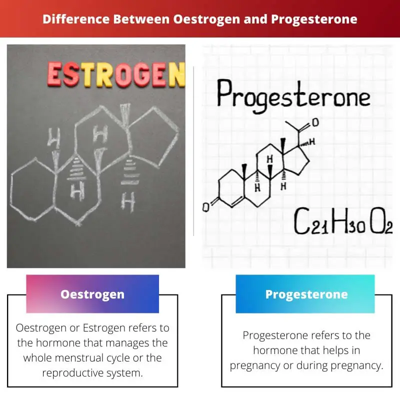 Difference Between Oestrogen and Progesterone