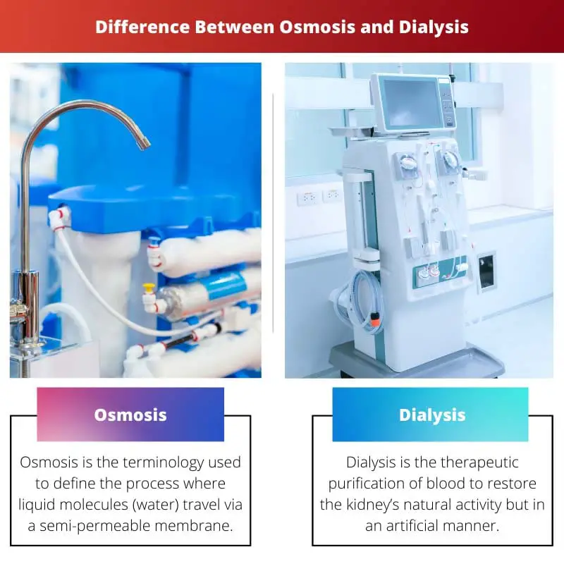 Difference Between Osmosis and Dialysis