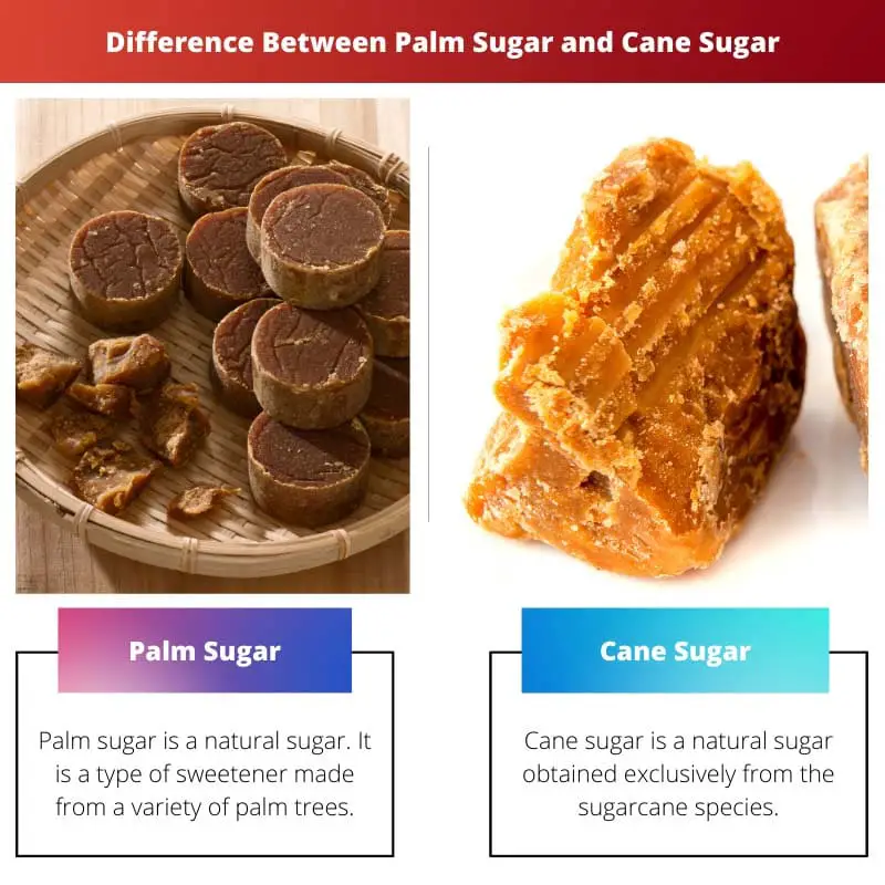 Difference Between Palm Sugar and Cane Sugar