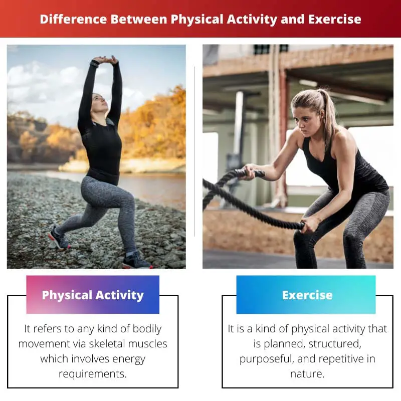 Difference Between Physical Activity and