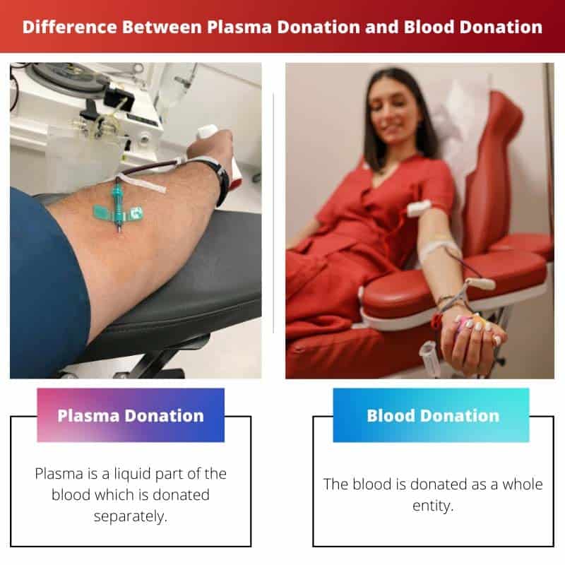 Plasma Donation Vs Blood Donation: Difference And Comparison