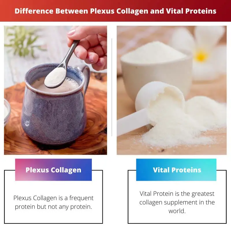 Difference Between Plexus Collagen and Vital Proteins