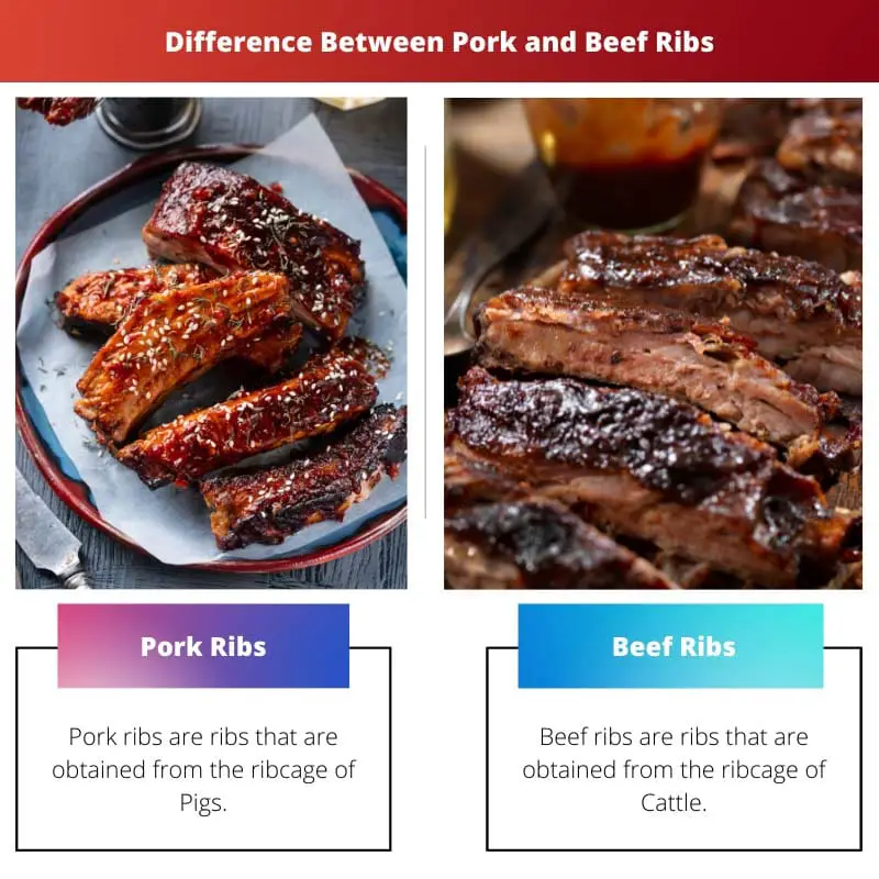 Difference Between Pork and Beef Ribs