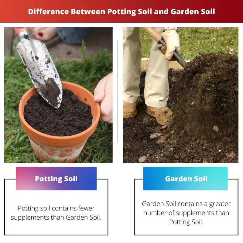 Difference Between Potting Soil and Garden Soil