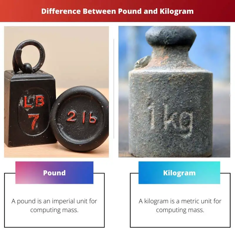 Difference Between Pound and Kilogram