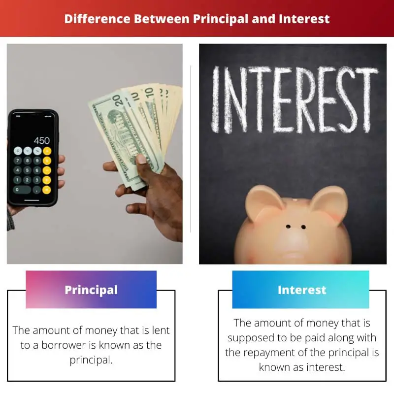 Difference Between Principal and Interest