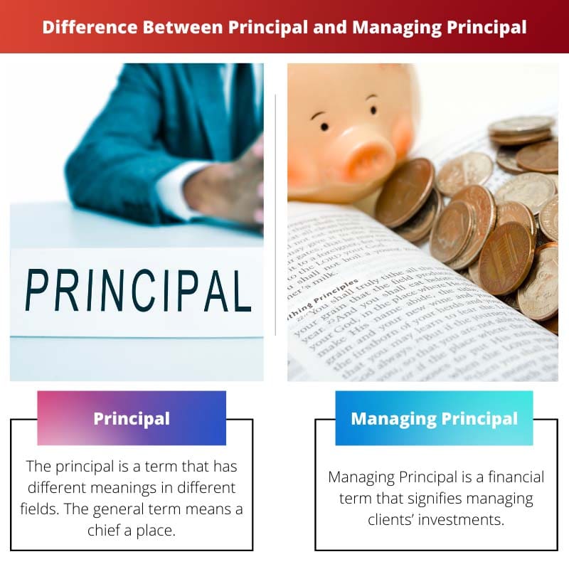 Difference Between Principal and Managing Principal