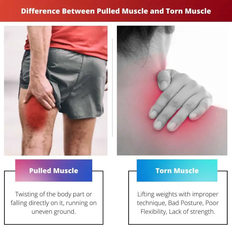 Difference Between Pulled Muscle and Torn Muscle