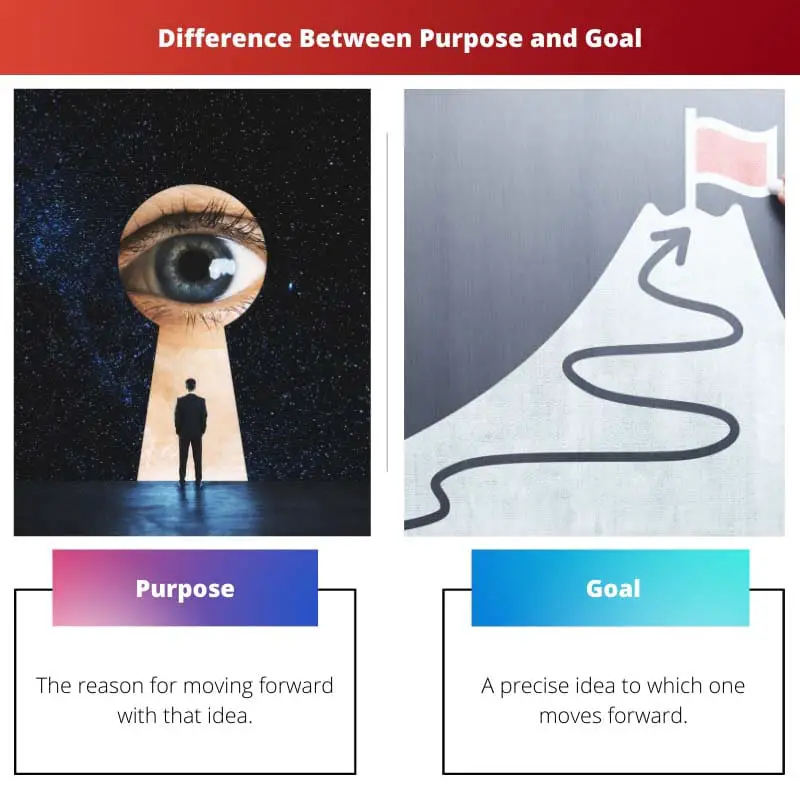 Difference Between Purpose and Goal
