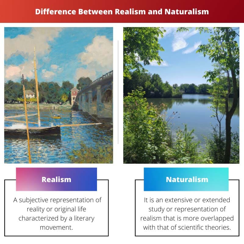 Difference Between Realism and Naturalism
