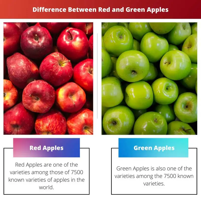 Difference Between Red and Green Apples