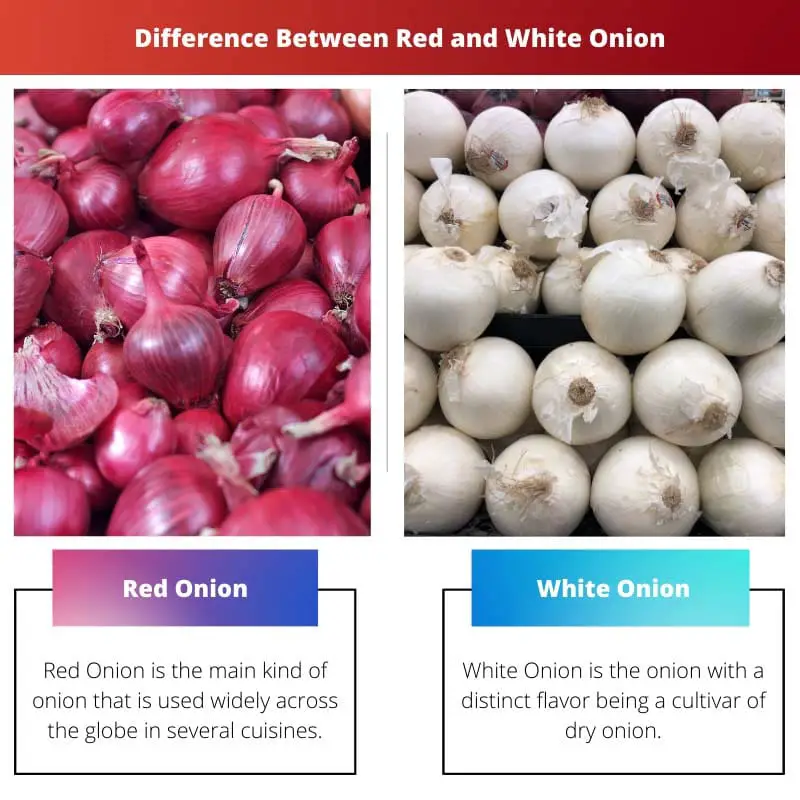 Difference Between Red and White Onion