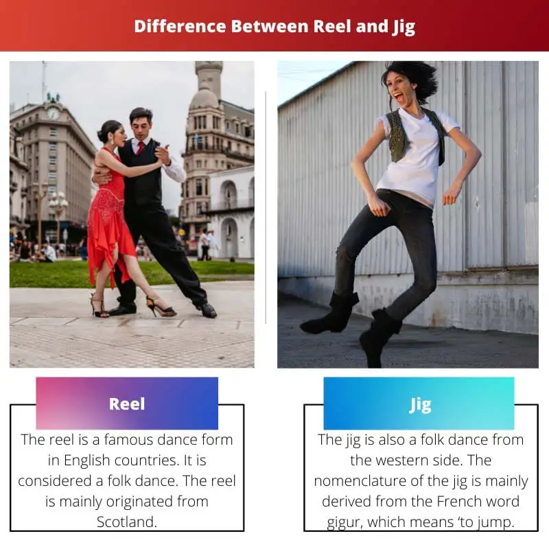 Difference Between Reel and Jig
