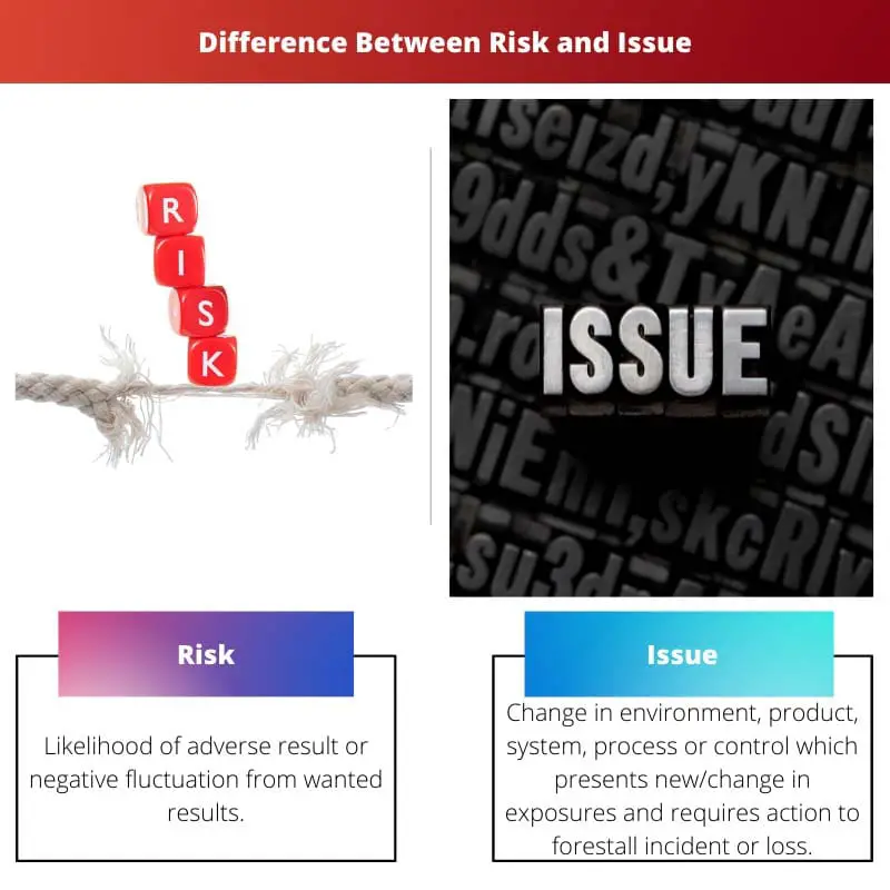 Difference Between Risk and Issue