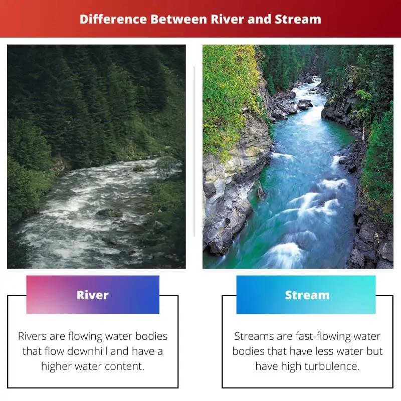 Difference Between River and Stream