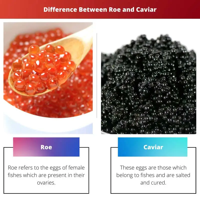 Difference Between Roe and Caviar