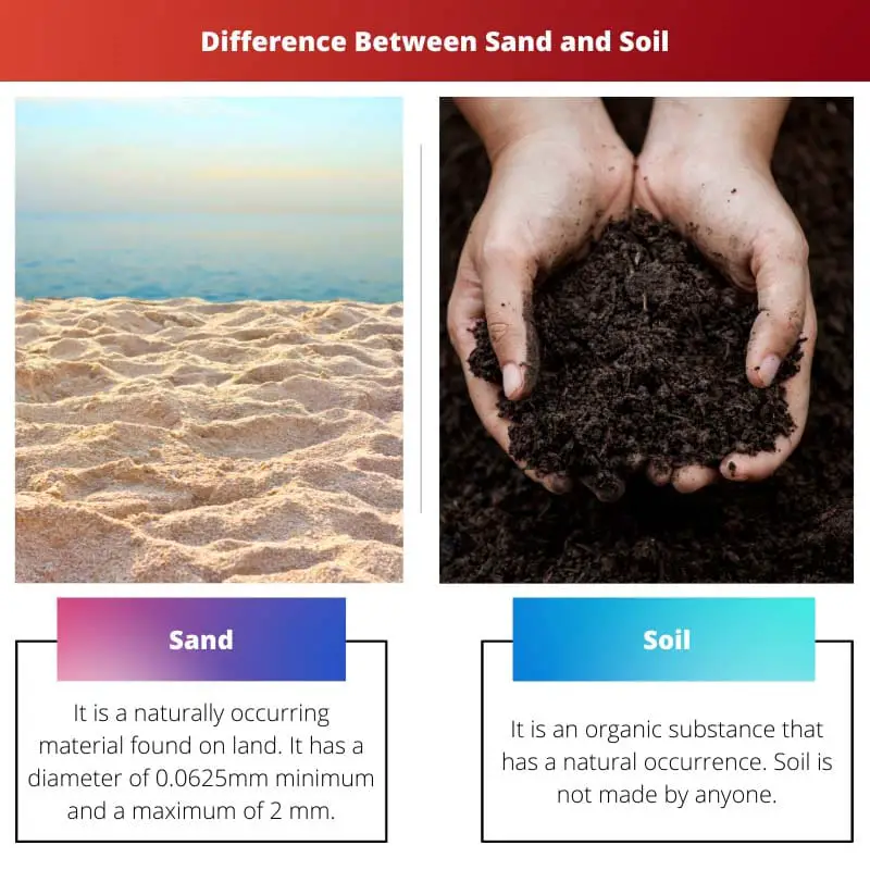 Difference Between Sand and Soil