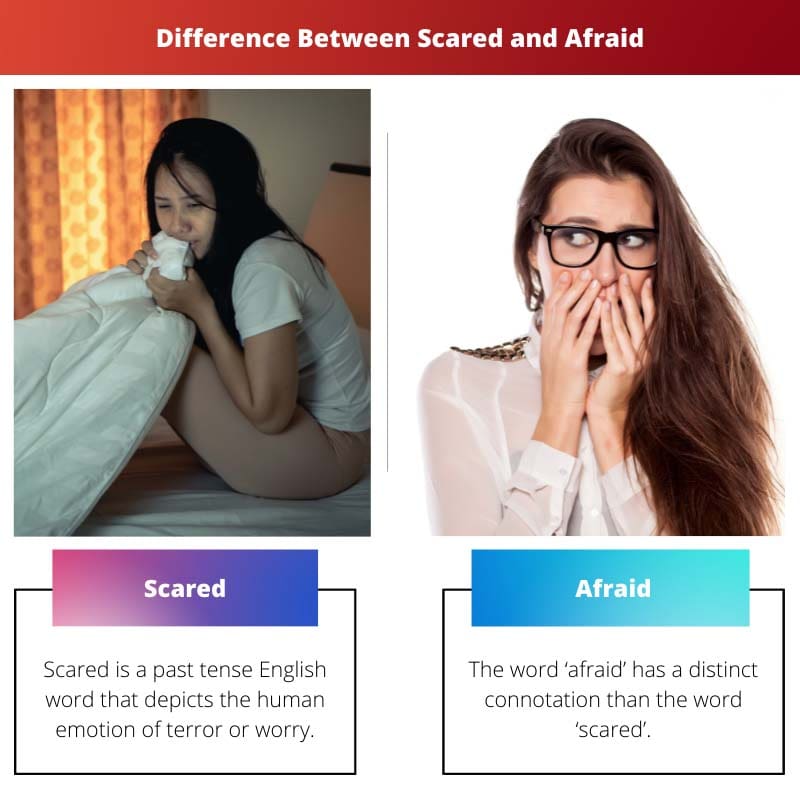 Difference Between Scared and Afraid