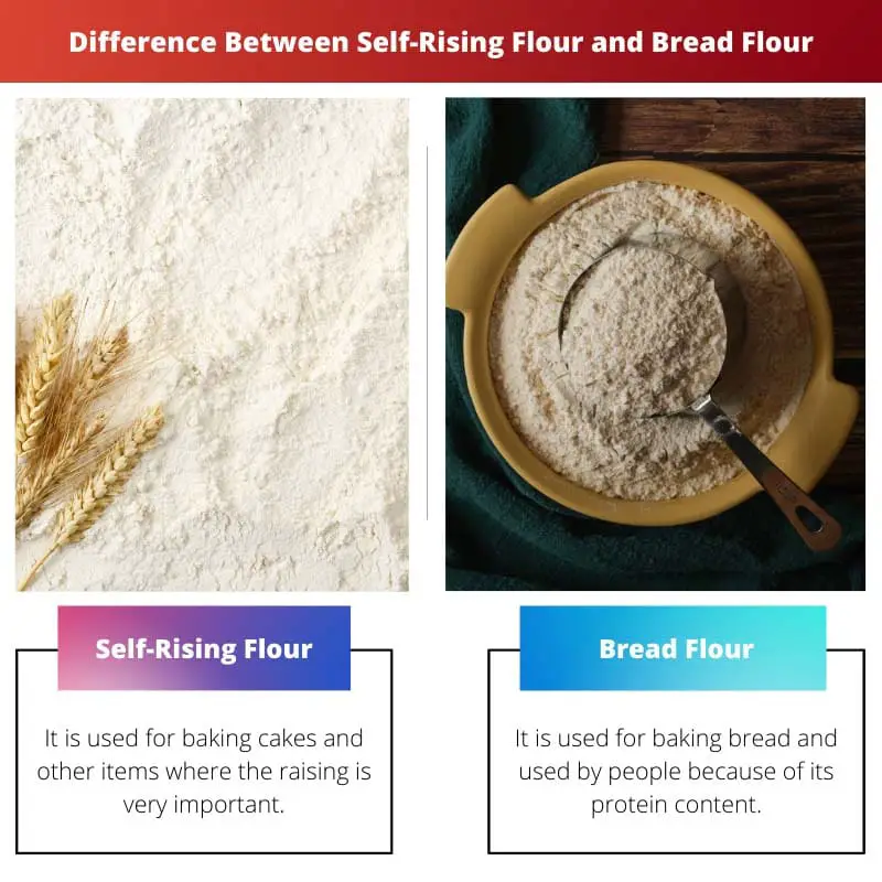 Difference Between Self Rising Flour and Bread Flour