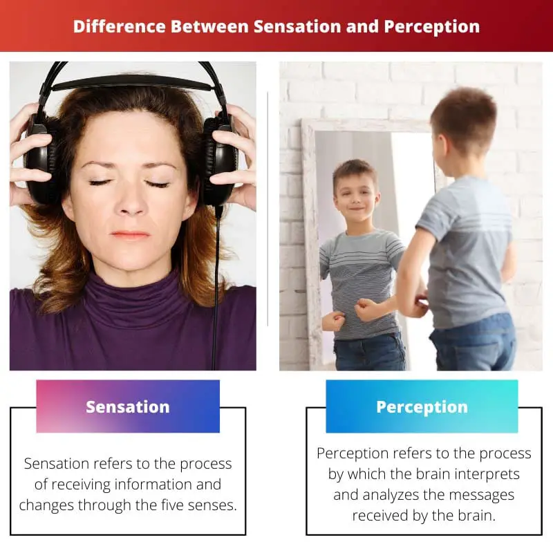 what is the relationship between sensation and perception