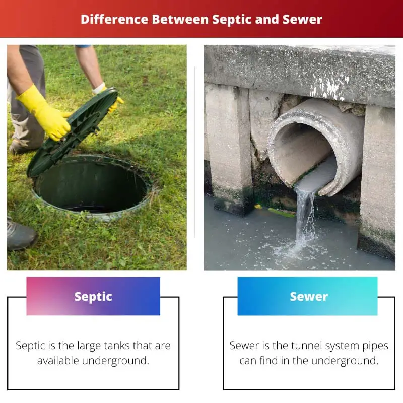Difference Between Septic and Sewer