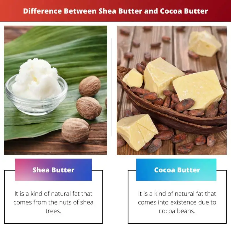 Difference Between Shea Butter and Cocoa Butter