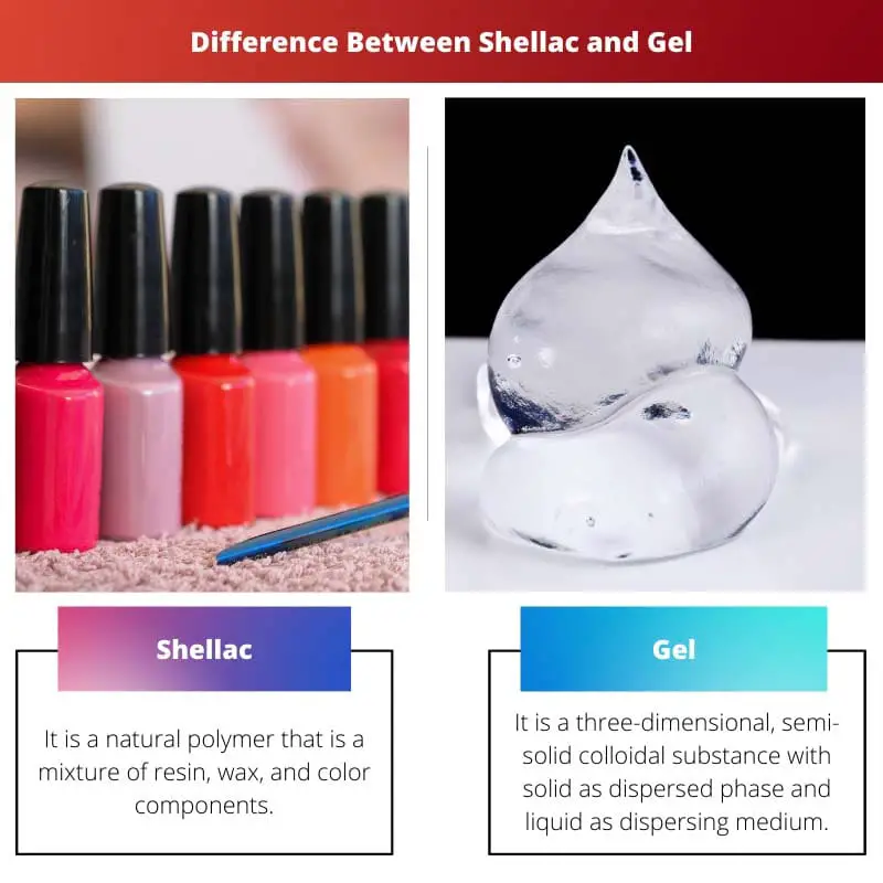 Difference Between Shellac and Gel