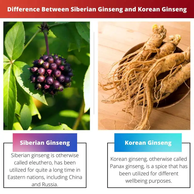 Difference Between Siberian Ginseng and Korean Ginseng
