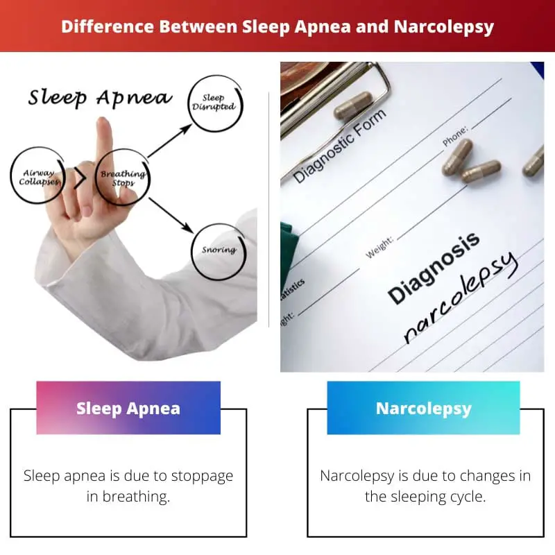Difference Between Sleep Apnea and Narcolepsy