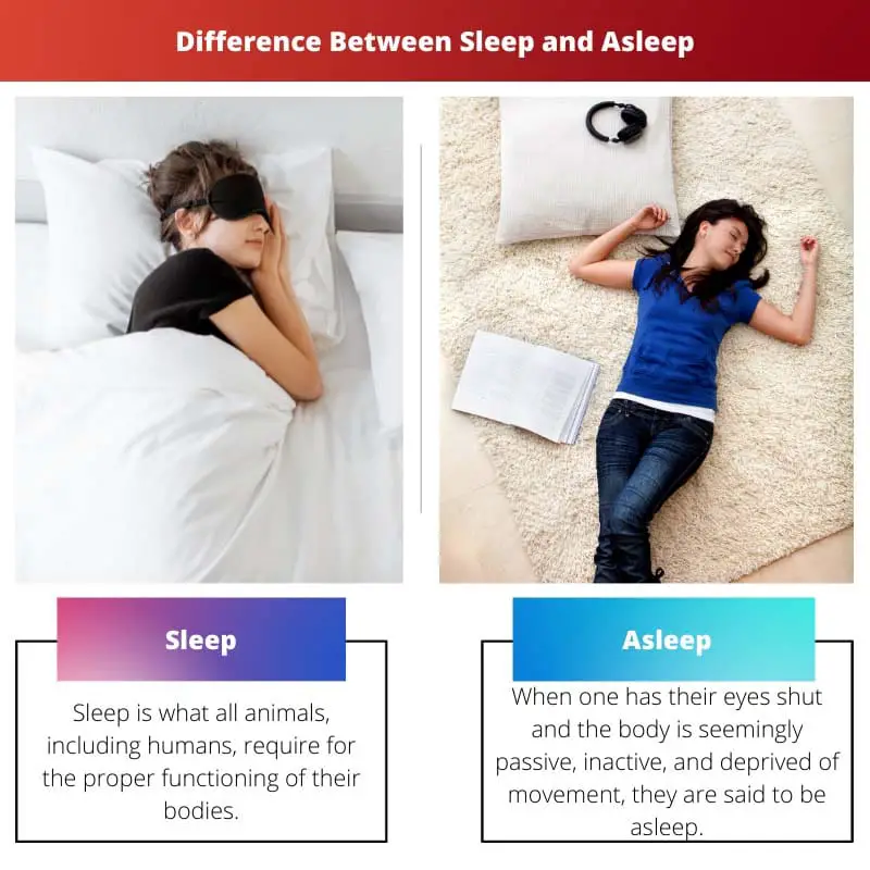 Difference Between Sleep and Asleep