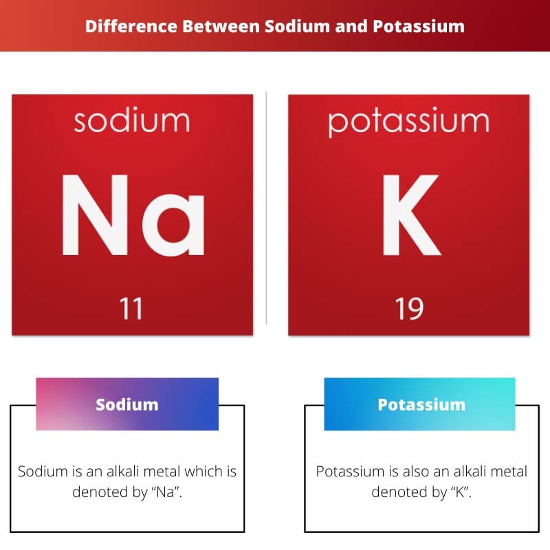 Difference Between Sodium and Potassium