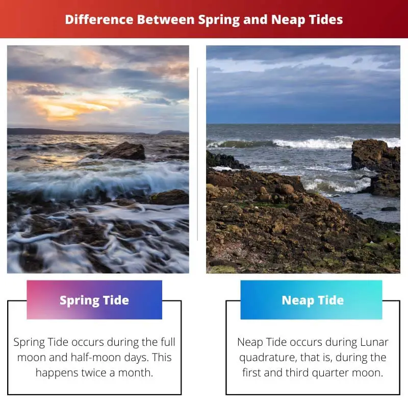 Difference Between Spring and Neap Tides