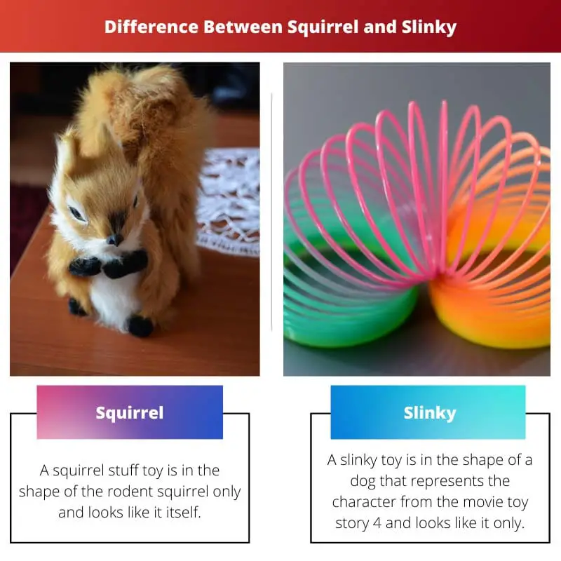 Difference Between Squirrel and Slinky