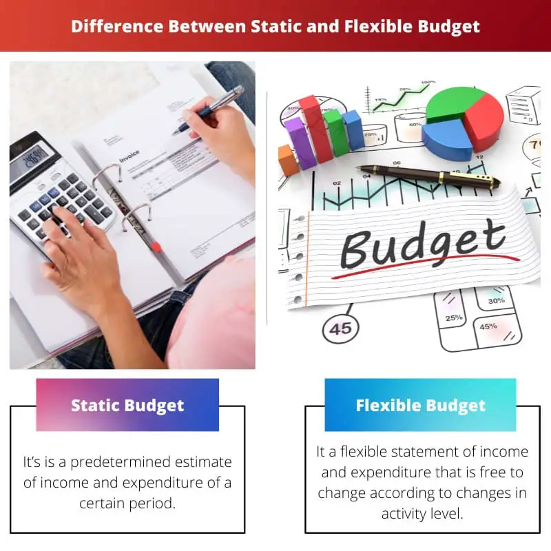 Difference Between Static and Flexible Budget
