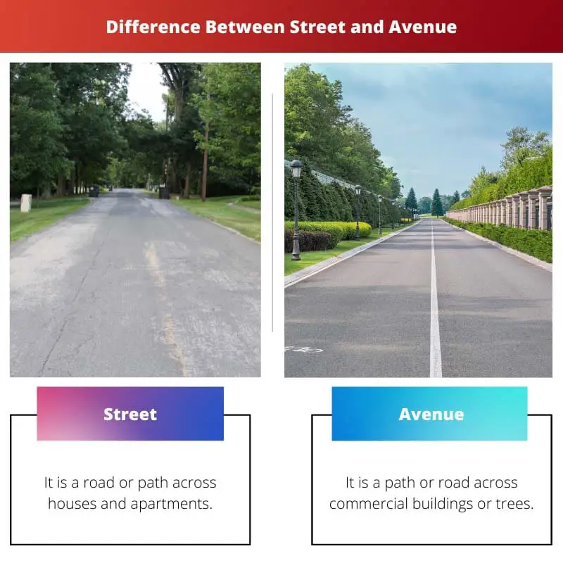 Difference Between Street and Avenue