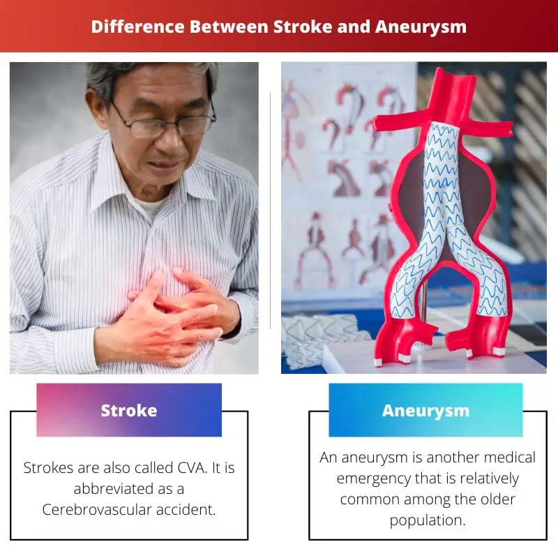 Difference Between Stroke and Aneurysm