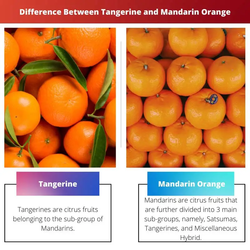 Difference Between Tangerine and Mandarin Orange