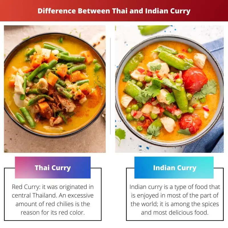 Difference Between Thai and Indian Curry