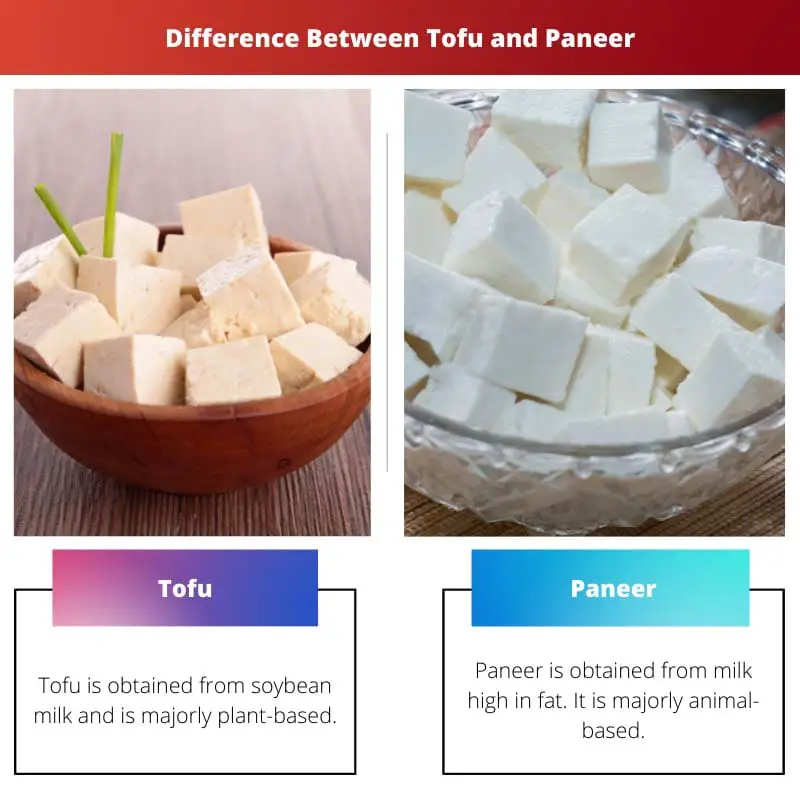 Difference Between Tofu and Paneer