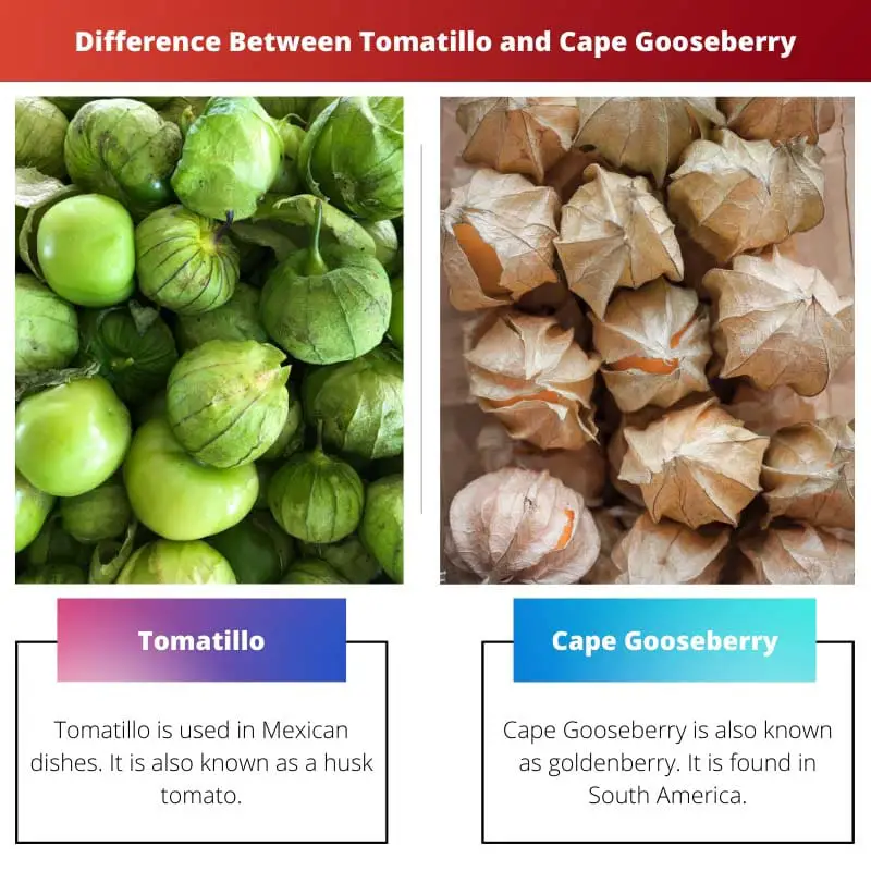 Difference Between Tomatillo and Cape Gooseberry