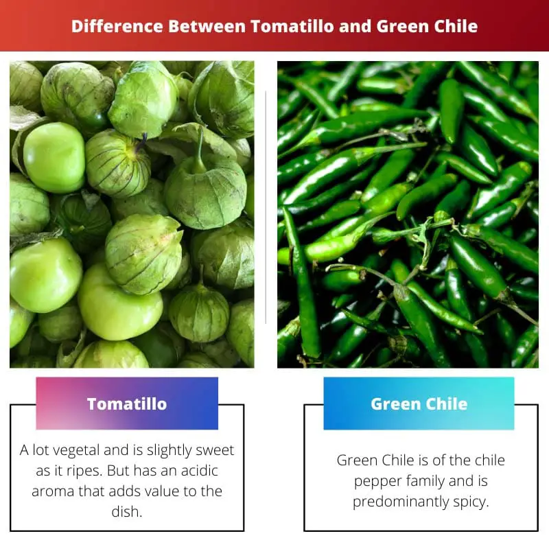 Difference Between Tomatillo and Green Chile