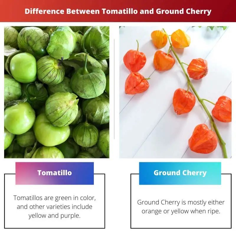 Difference Between Tomatillo and Ground Cherry