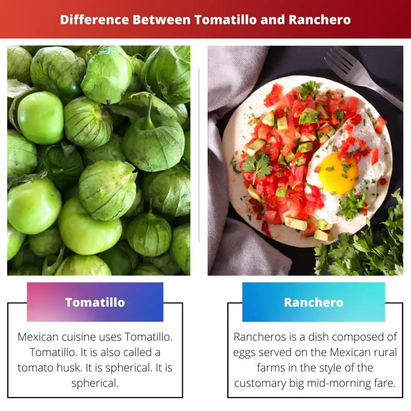 Difference Between Tomatillo and Ranchero
