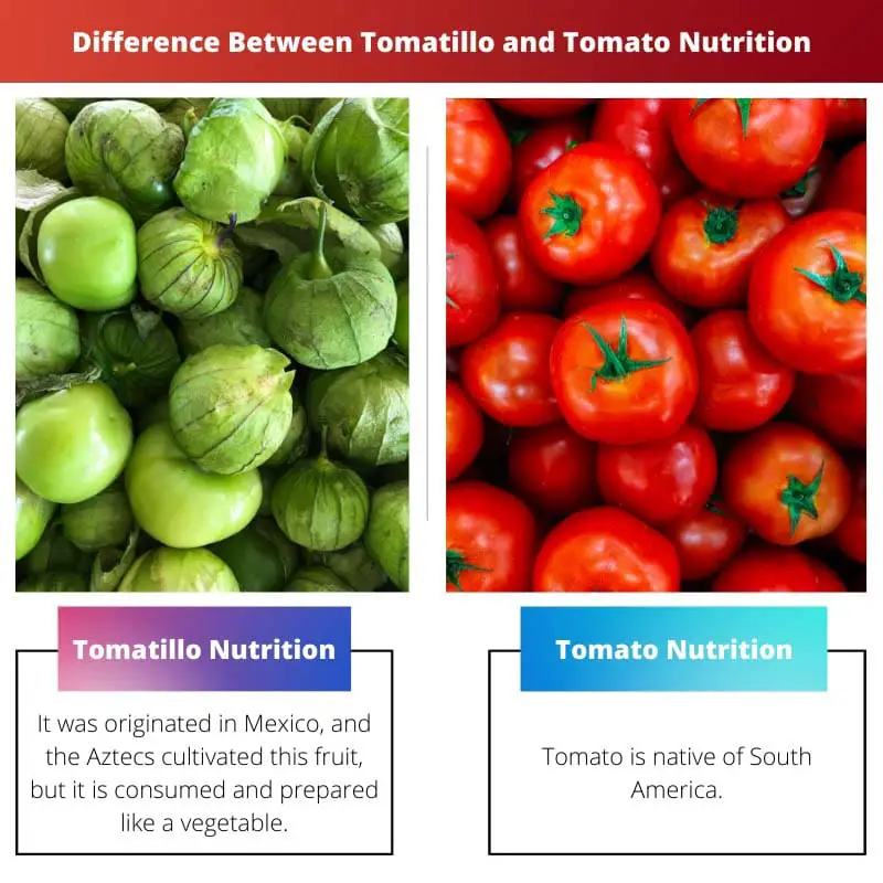 Difference Between Tomatillo and Tomato Nutrition