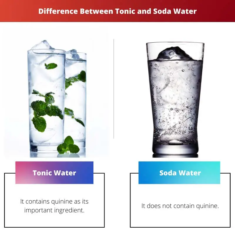 Difference Between Tonic and Soda Water