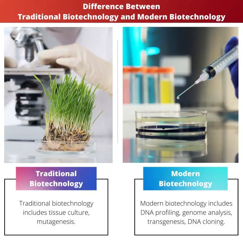 Difference Between Traditional Biotechnology and Modern Biotechnology