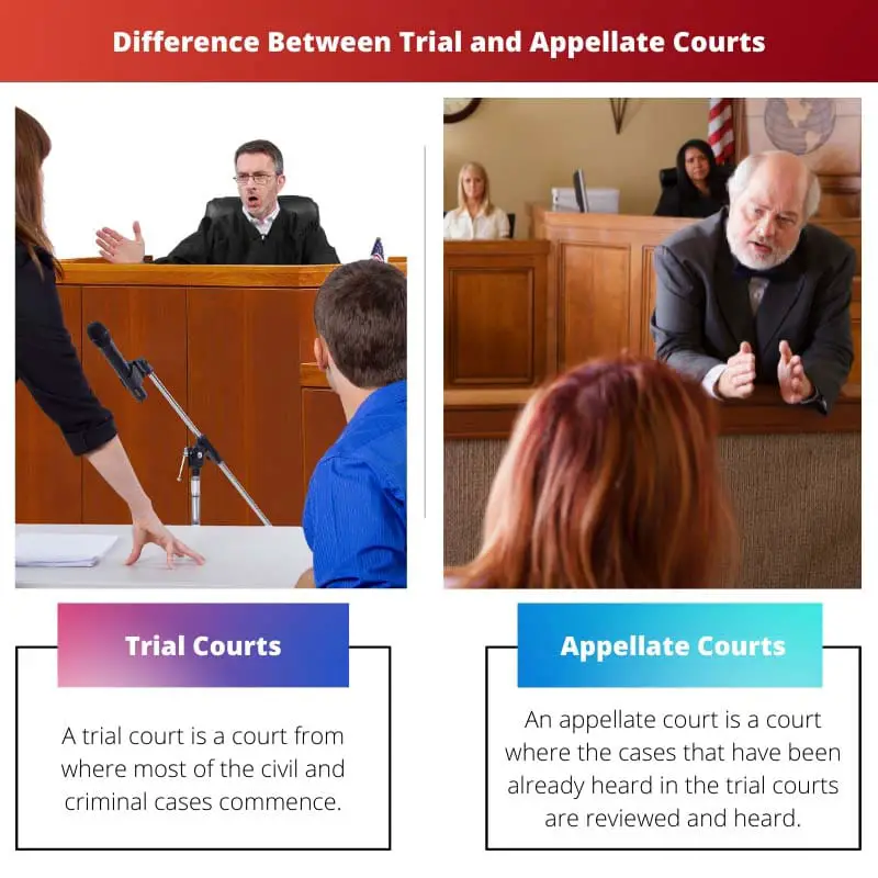 Difference Between Trial and Appellate Courts