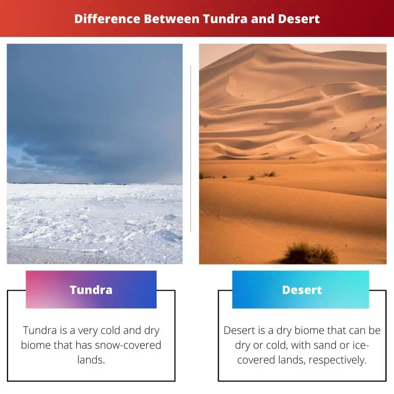 Difference Between Tundra and Desert