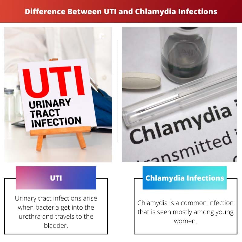 Difference Between UTI and Chlamydia Infections