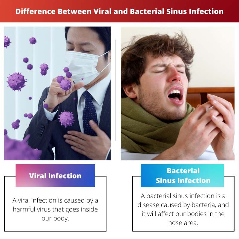 Difference Between Viral and Bacterial Sinus Infection